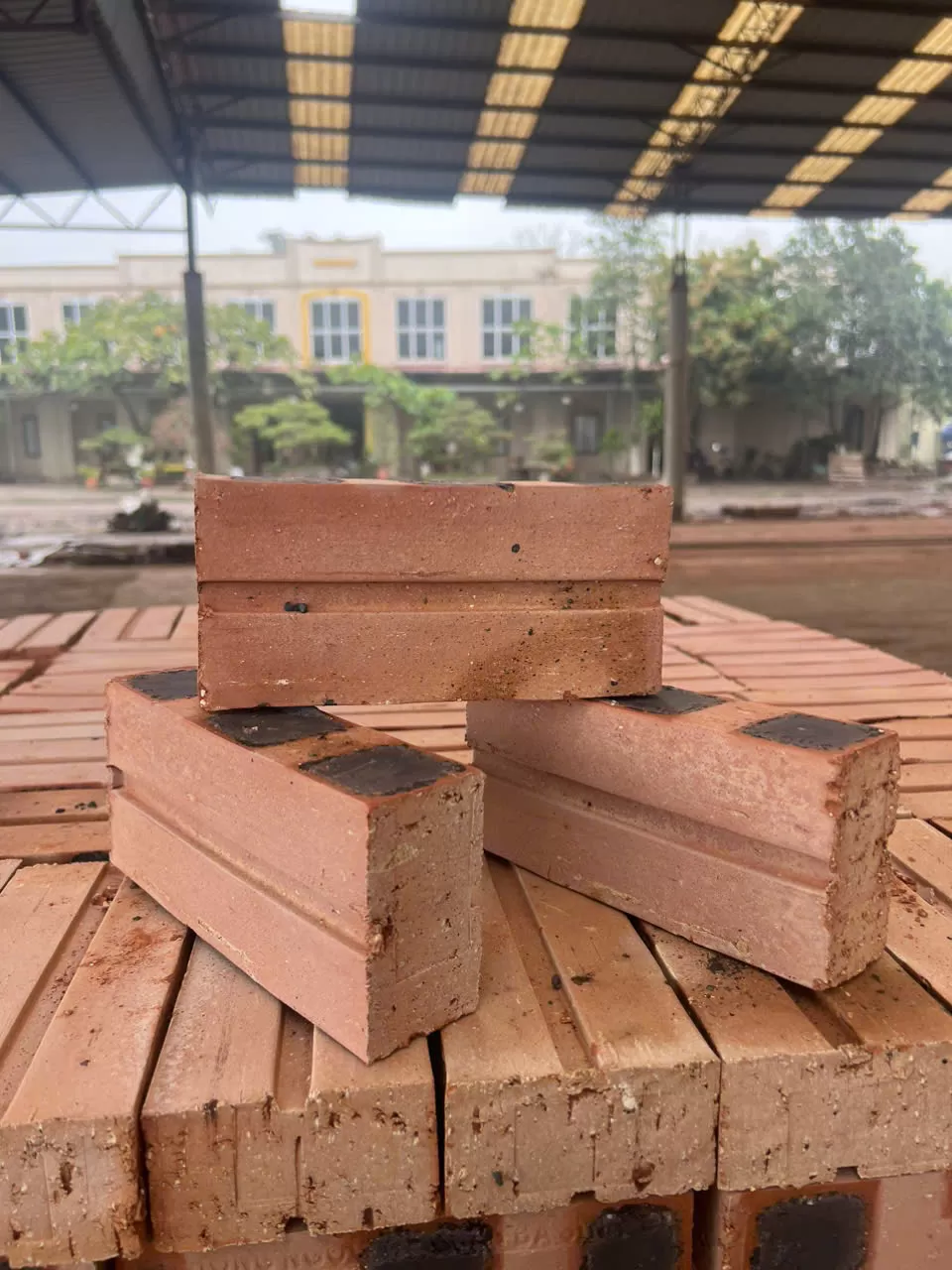 Gạch Đặc